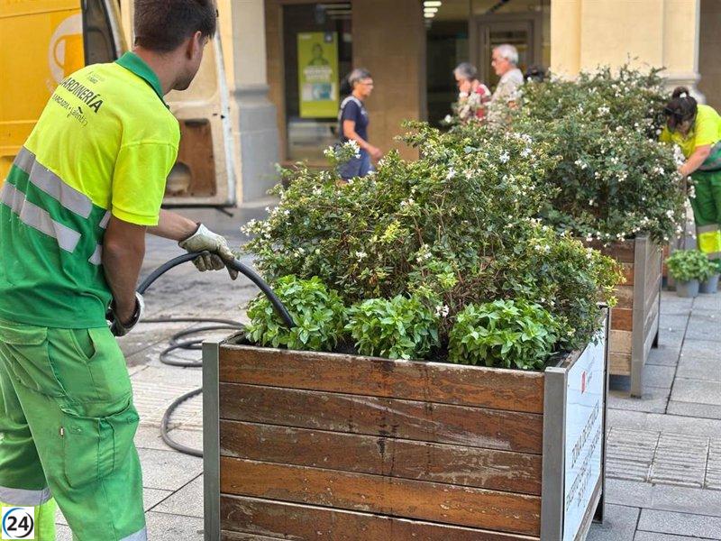 Huesca se prepara para las Fiestas de San Lorenzo con un aroma a albahaca.