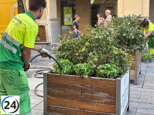 Huesca se prepara para las Fiestas de San Lorenzo con un aroma a albahaca.
