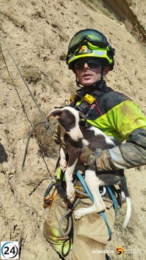 Bomberos salvan a perro atrapado en un risco de Alcolea, a 40 metros de altura.