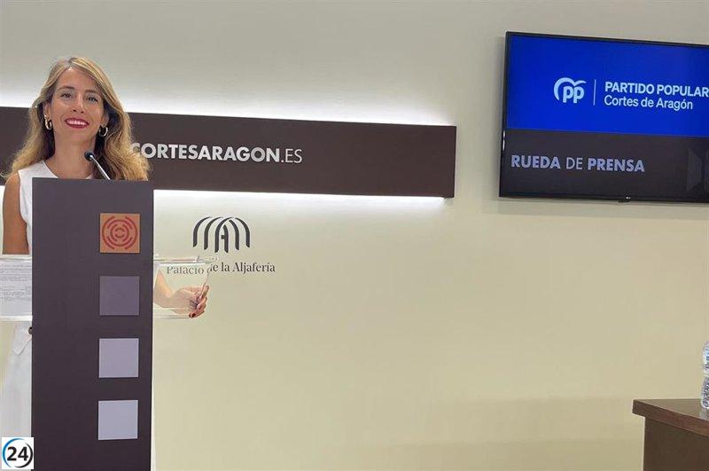 Navarro (PP) defiende la