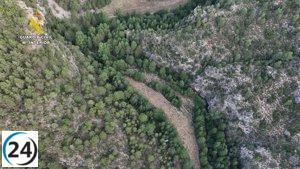 Desmantelan tres cultivos de marihuana en Teruel y arrestan a dos sospechosos.