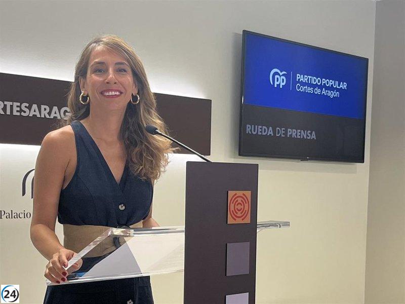 Navarro (PP) critica al PSOE Aragón por priorizar la defensa de Sánchez en lugar de proponer medidas constructivas.