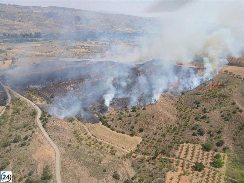 Incendio afecta áreas agrícolas y forestales en Daroca.