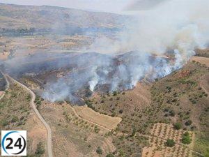 Incendio afecta áreas agrícolas y forestales en Daroca.