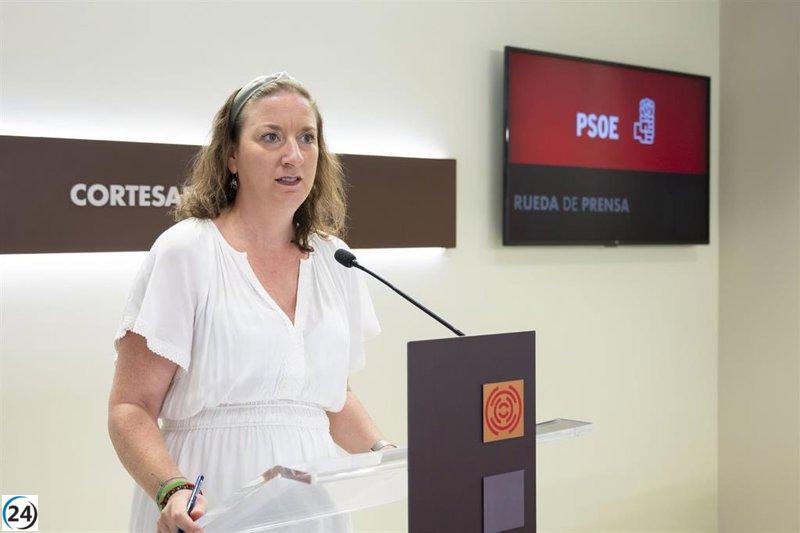 PSOE exige la comparecencia de Octavio López en las Cortes por el