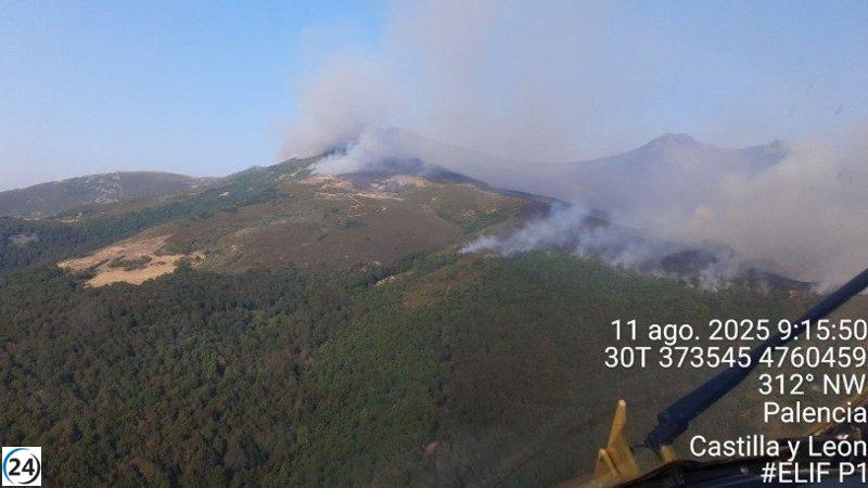 La brigada aérea de Ejea se une a la lucha contra el incendio en Resoba, Palencia.