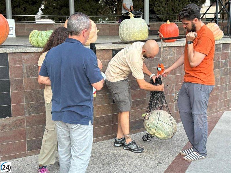 Binéfar celebrará el 24 un certamen para resaltar sus huertos ecológicos y premiar los cultivos más robustos de tomate y calabaza.