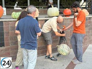 Binéfar celebrará el 24 un certamen para resaltar sus huertos ecológicos y premiar los cultivos más robustos de tomate y calabaza.