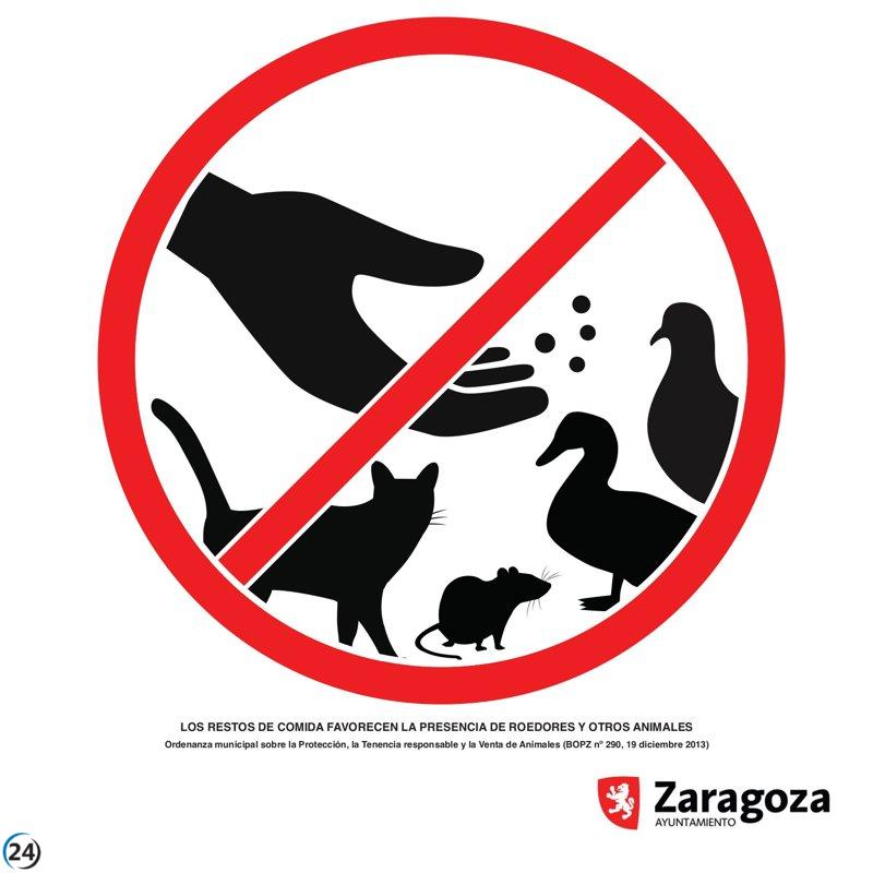 Zaragoza ejecuta más de 15,000 ratificaciones en 2025.
