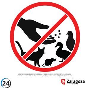 Zaragoza ejecuta más de 15,000 ratificaciones en 2025.