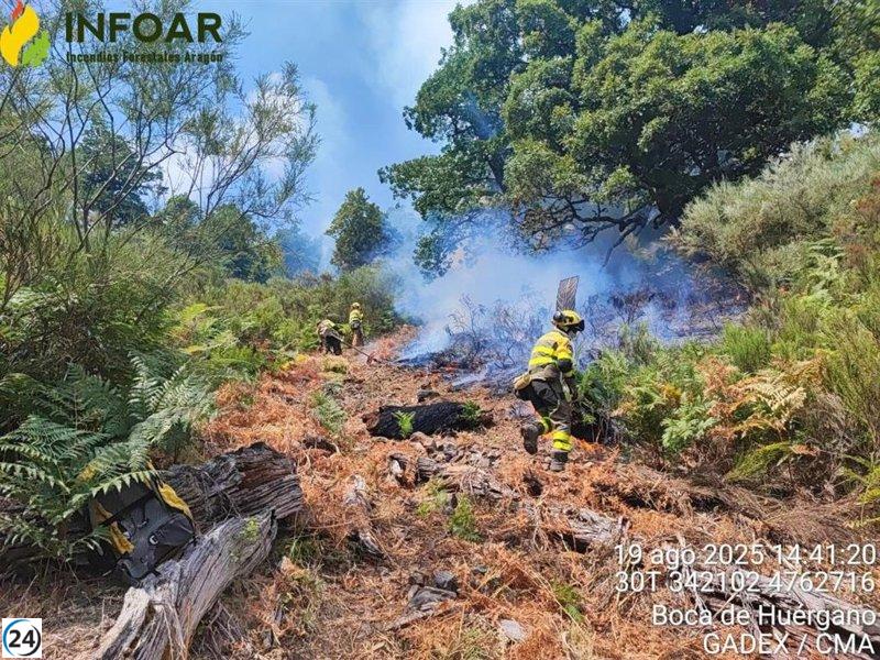 Medios de Aragón se movilizan para combatir incendios en León y Castellón.