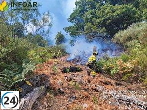 Medios de Aragón se movilizan para combatir incendios en León y Castellón.
