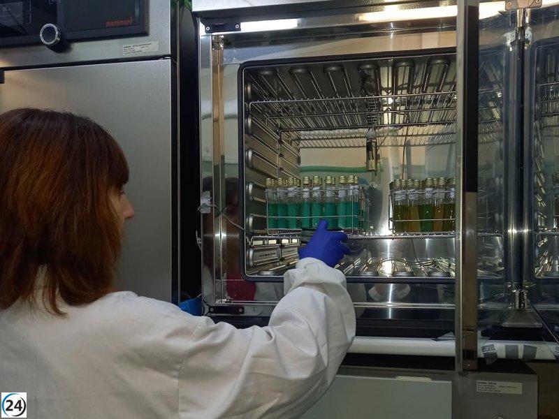 Investigación revela que el brote de salmonelosis en Barbastro proviene del tomate triturado.