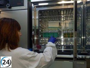 Investigación revela que el brote de salmonelosis en Barbastro proviene del tomate triturado.