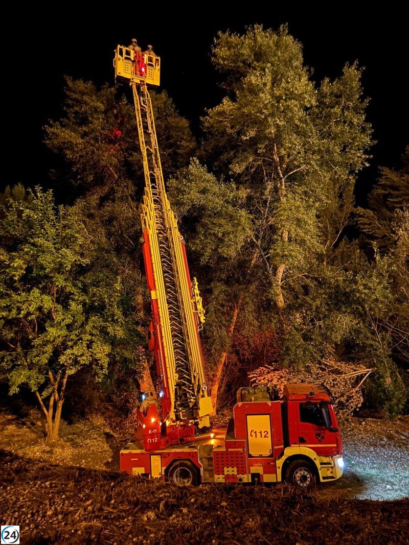 Bomberos de Teruel desmantelan nido de avispa asiática en Alcañiz.