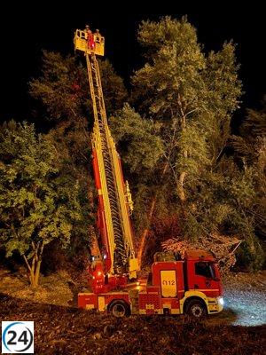 Bomberos de Teruel desmantelan nido de avispa asiática en Alcañiz.