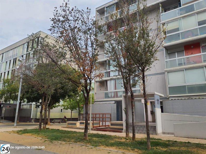 Zaragoza se prepara para intervenir en seis árboles infetados por plagas en Valdespartera.