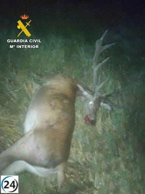 La Guardia Civil desmantela banda de furtivos y captura a tres tras cazar ilegalmente un ciervo en Albarracín.