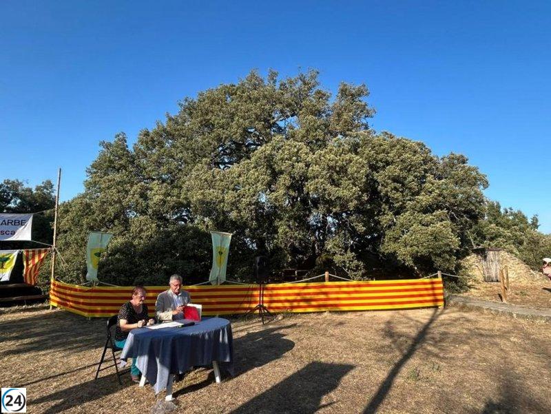 Centro de visitantes para la Carrasca de Lecina tras acuerdo entre el Ayuntamiento y el Gobierno aragonés.
