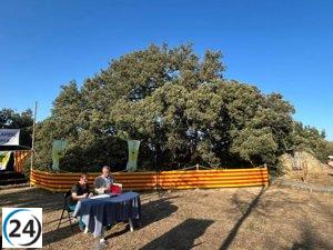 Centro de visitantes para la Carrasca de Lecina tras acuerdo entre el Ayuntamiento y el Gobierno aragonés.