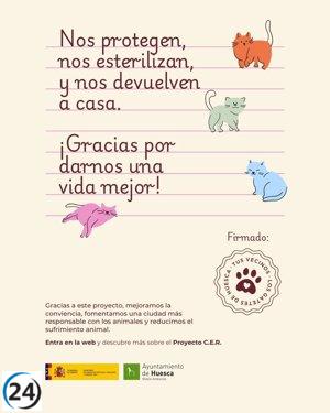 Huesca lanza iniciativa informativa para gestionar colonias de gatos.