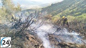 Fuerzas de Aragón luchan contra incendio forestal en Barniedo de la Reina, divisiones en acción.