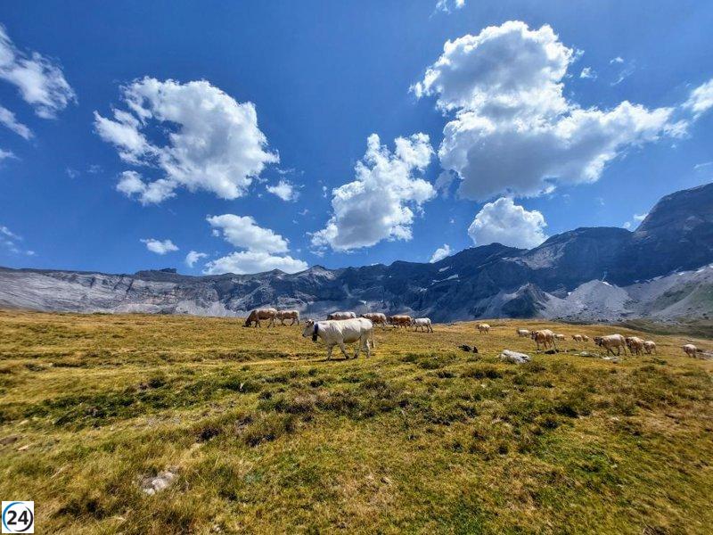 CITA presenta siete estudios en el 76° Congreso de la Federación Europea de Ciencia Animal.