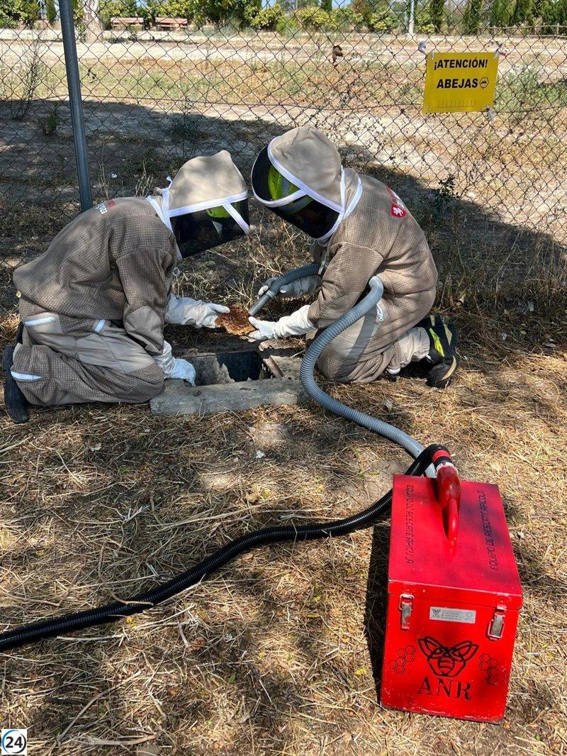 Bomberos de Zaragoza desaloja enjambre de 20.000 abejas en Valdespartera.