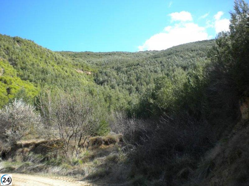 Aragón obtiene 2,5 millones de euros para fortalecer sus bosques.