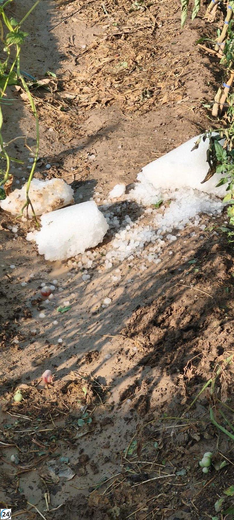 La tormenta destroza el 75% de la producción de fruta y almendra en Cariñena.