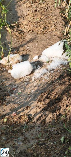 La tormenta destroza el 75% de la producción de fruta y almendra en Cariñena.
