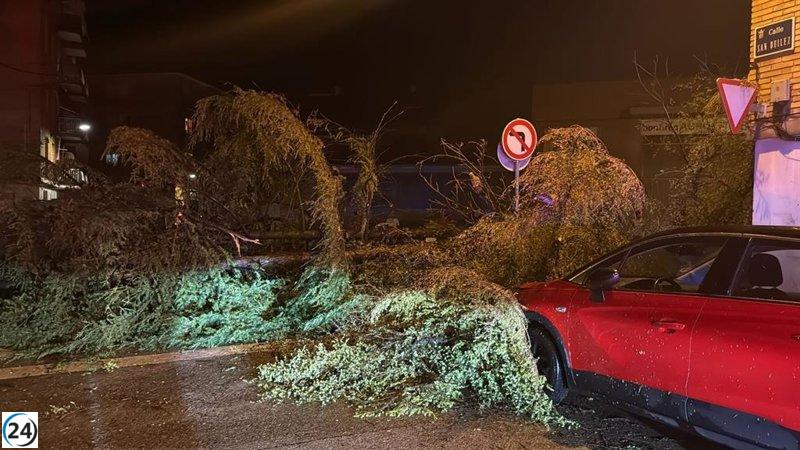 Tormenta devastadora causa daños severos en Binéfar: árboles caídos y locales inundados.