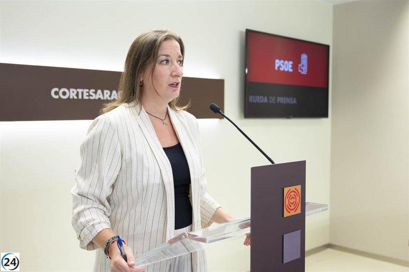Rodrigo (PSOE) denuncia que la gestión educativa del Gobierno de Azcón se basa en improvisaciones poco serias.
