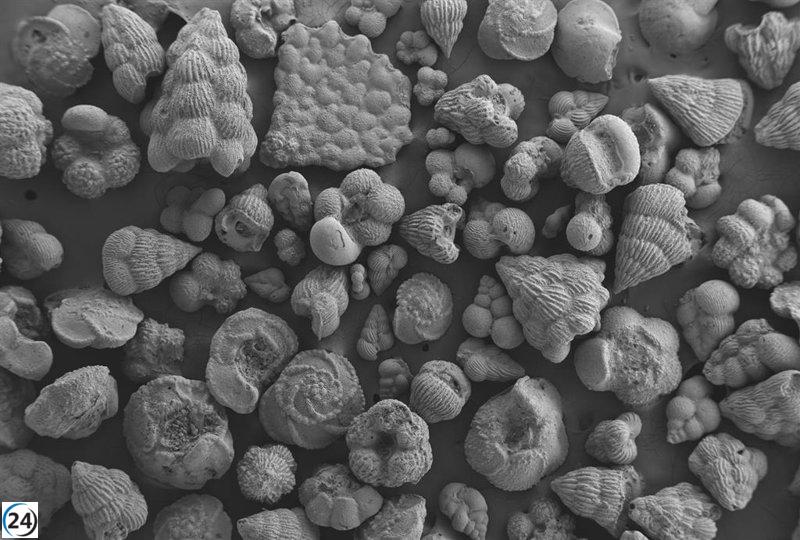 El Ártico era más cálido y los océanos tenían menos conexión al final del Cretácico, revela investigación de la UZ y EHU.