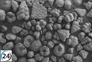 El Ártico era más cálido y los océanos tenían menos conexión al final del Cretácico, revela investigación de la UZ y EHU.