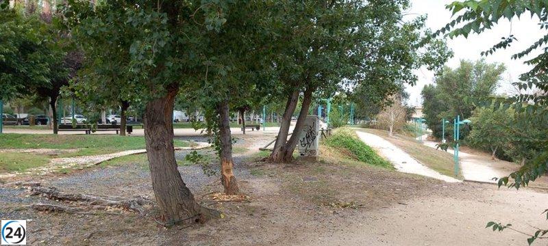 Zaragoza defiende su bosque ribereño frente a los daños de los castores.