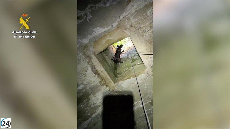 Rescate heroico: la Guardia Civil de Teruel salva a un perro atrapado en un aljibe de ocho metros en Calanda.