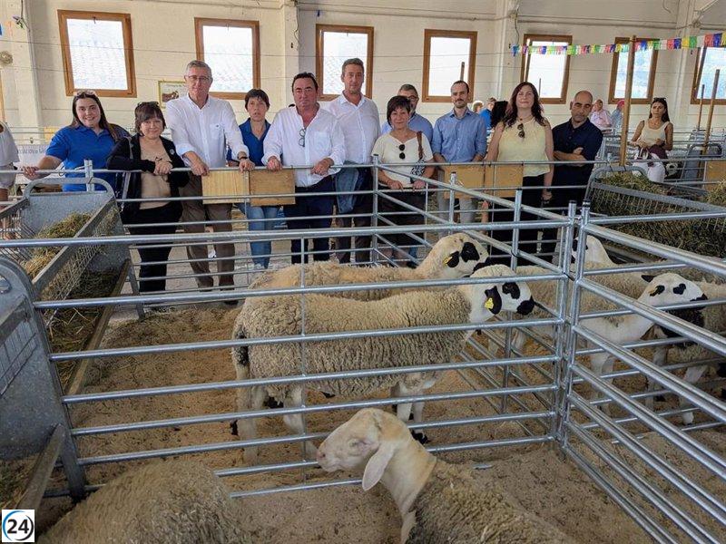 Cantavieja destaca en su 115ª Feria de Septiembre, superando récords de participación equina y generando grandes expectativas en la subasta de ganado.