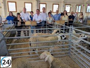 Cantavieja destaca en su 115ª Feria de Septiembre, superando récords de participación equina y generando grandes expectativas en la subasta de ganado.