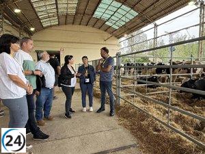 PSOE denuncia a Azcón por no solicitar la eliminación de recortes en Agricultura que critica.
