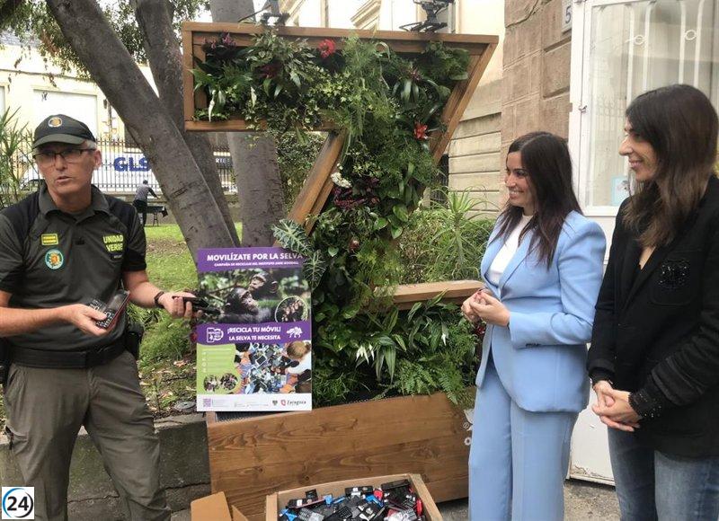 Zaragoza patrocina a 13 chimpancés tras reciclar 400 teléfonos móviles.