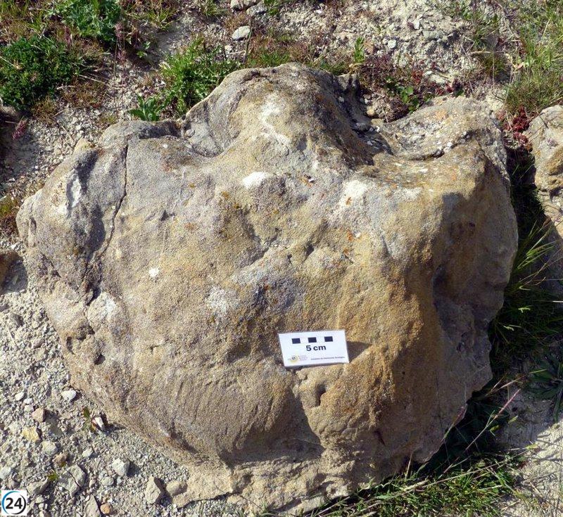 Descubren huellas de dinosaurios del Cretácico en Teruel: Hallazgos en Allepuz, Cedrillas y Jorcas.