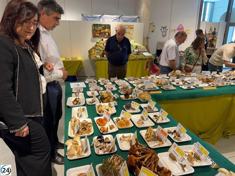 Éxito en la XXIV Exposición Micológica de Binéfar con la participación de numerosos amantes de las setas.