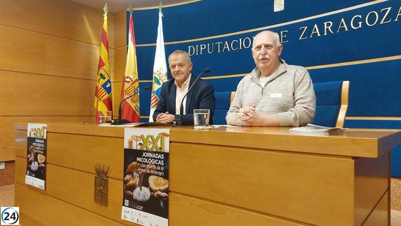 San Martín de Moncayo se prepara para sus jornadas de setas este otoño, con la esperanza de un buen repunte en la temporada.