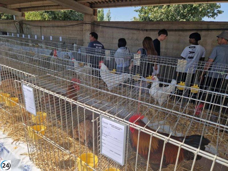 Agricultura intensifica controles sanitarios en ferias ganaderas.