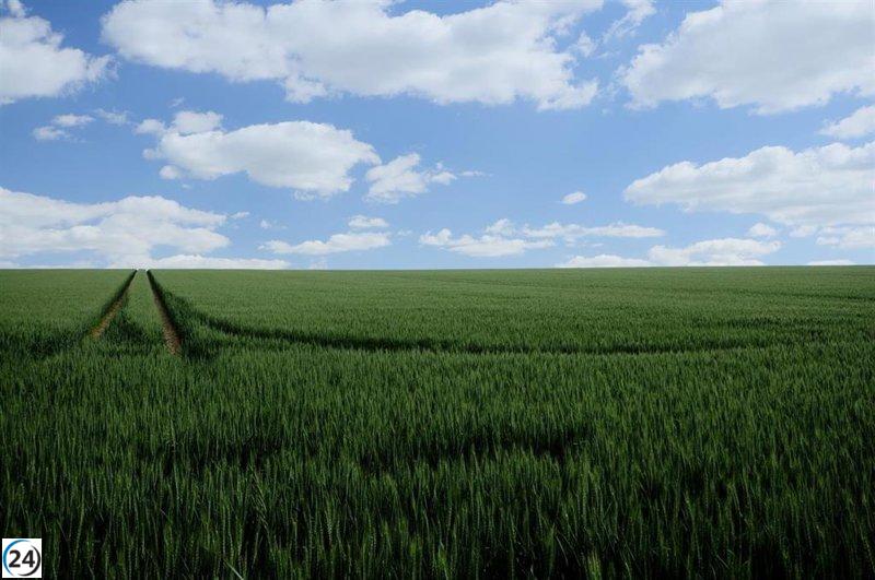 La agricultura recibe el mayor anticipo de la PAC de su historia: más de 217 millones de euros.