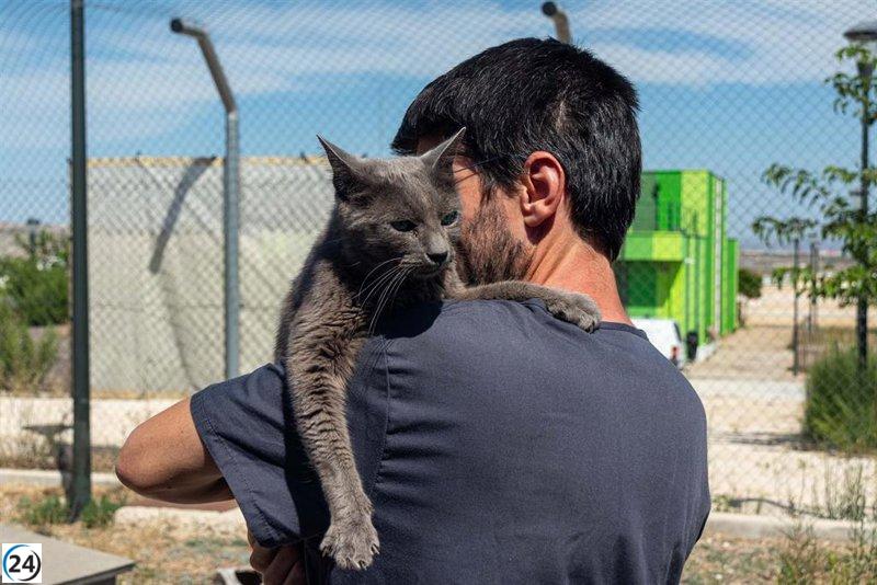 Zaragoza amplía su refugio felino para incorporar gatos de la colonia del Portillo.