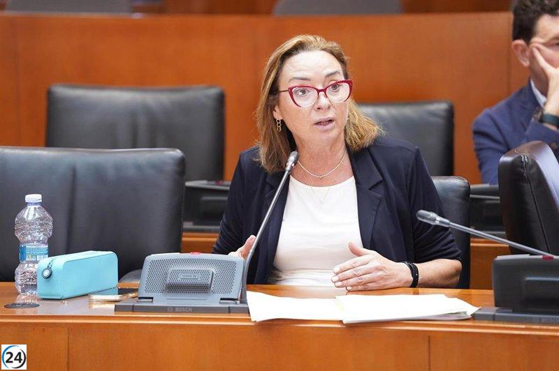 El Parlamento de Aragón propone destinar terrenos para la expansión del tranvía hacia Arcosur.