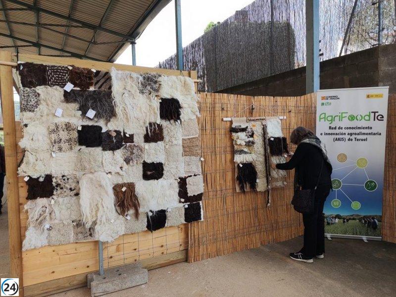 CITA Teruel lanza la II Feria de la Lana 2025 con enfoque en innovación y aplicaciones modernas.