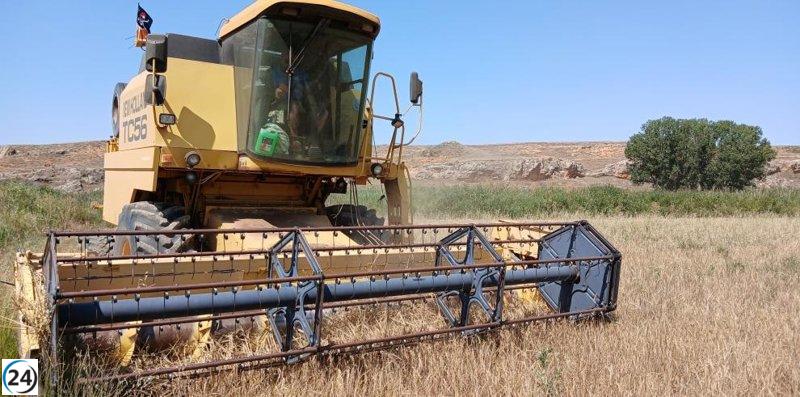 Ministerio de Agricultura destina 18 millones de euros en segundo anticipo de la PAC.